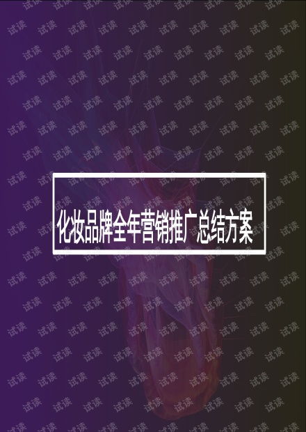 化妆品全年内容营销与网络推广整合方案